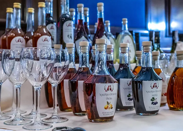 Sonex Отель Ченстохова