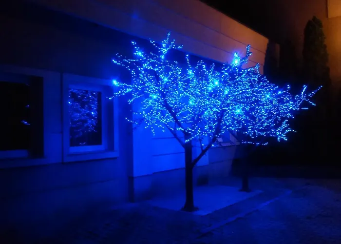 Sonex 3* Ченстохова